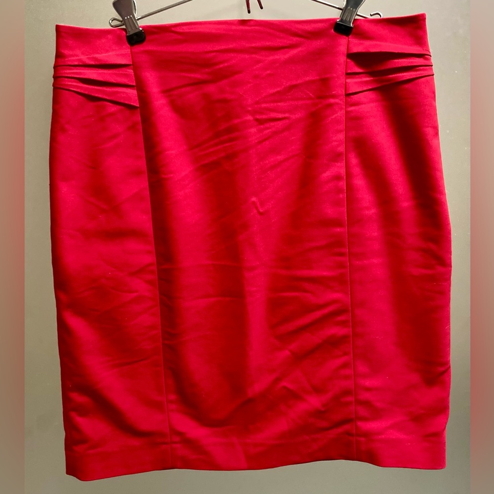 Express Pencil Skirt